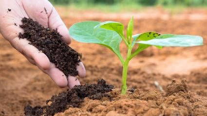 जैव उर्वरक (Bio Fertilizers) category