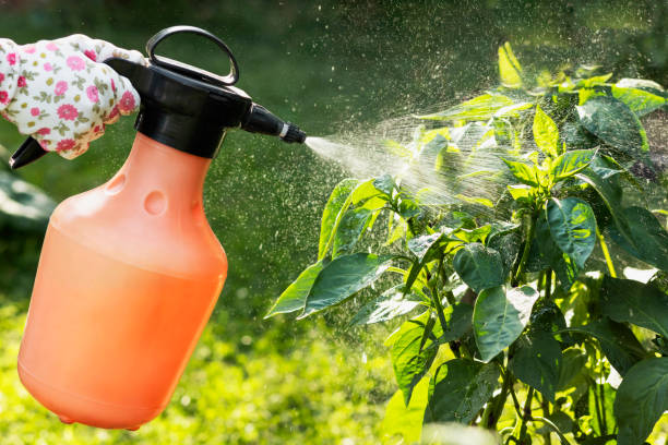 वानस्पतिक कीटनाशक (Botanical Pesticides) category