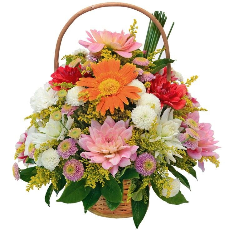 पुष्प/फूल (Flowers) category