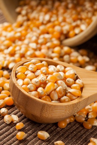 मक्का (Maize) category