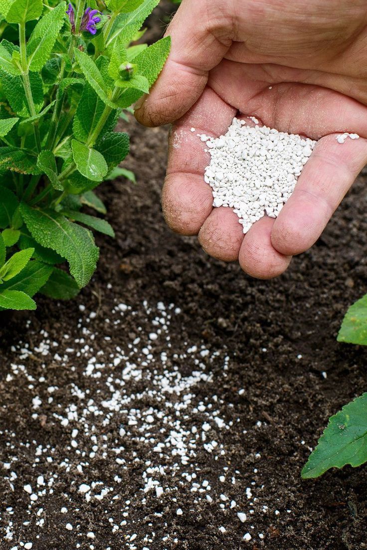 खाद (वर्मीकम्पोस्ट) (Manure (Vermicompost)) category
