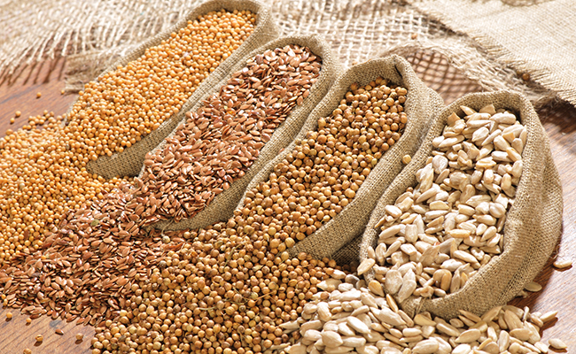 तिलहन (Oil Crops) category