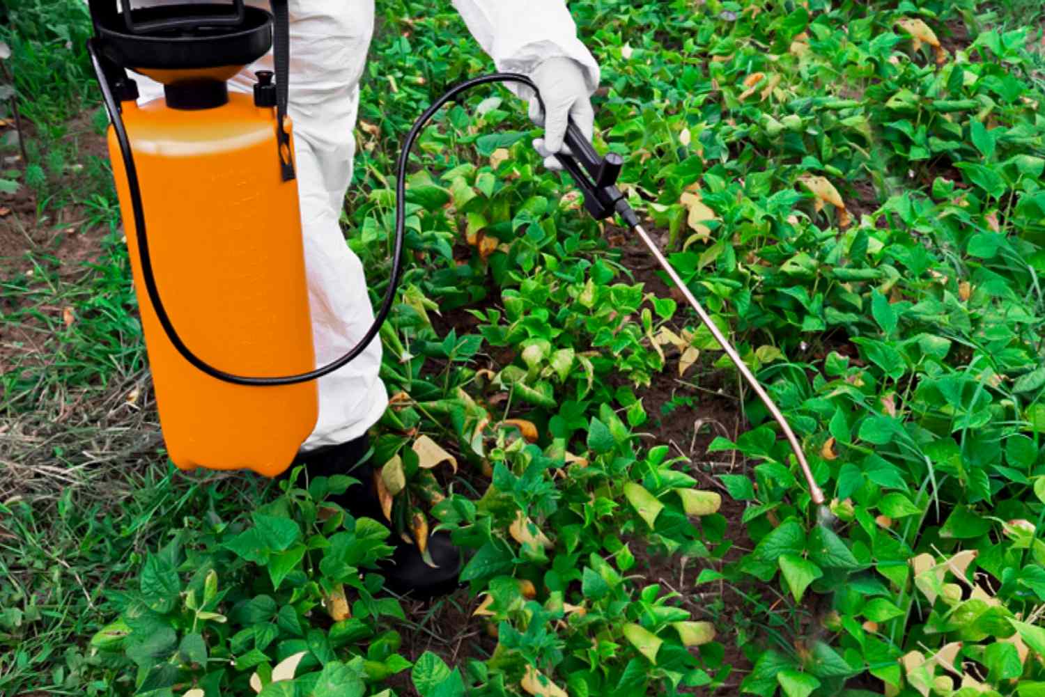 जैविक हर्बिसाइड्स (Organic Herbicides) category