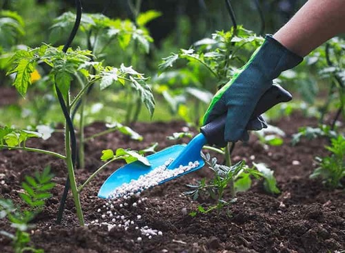 जैविक कीटनाशक (Organic Pesticides) category