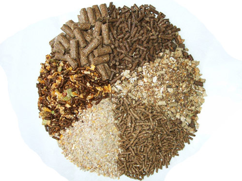 पशु आहार (Animal Feed) category