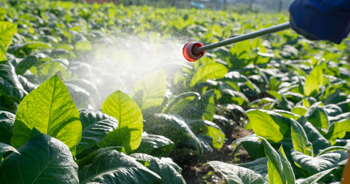 कीटनाशक (Pesticides) category