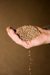 फॉस्फेट उर्वरक (Phosphate Fertilizers) category