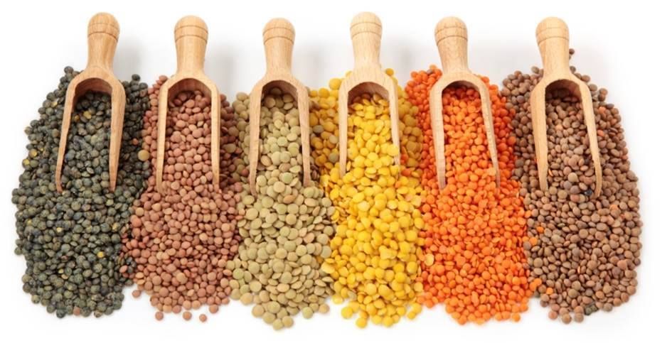 दलहन/दालें (Pulses) category