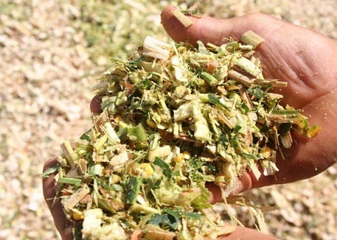 साइलेज (Silage) category