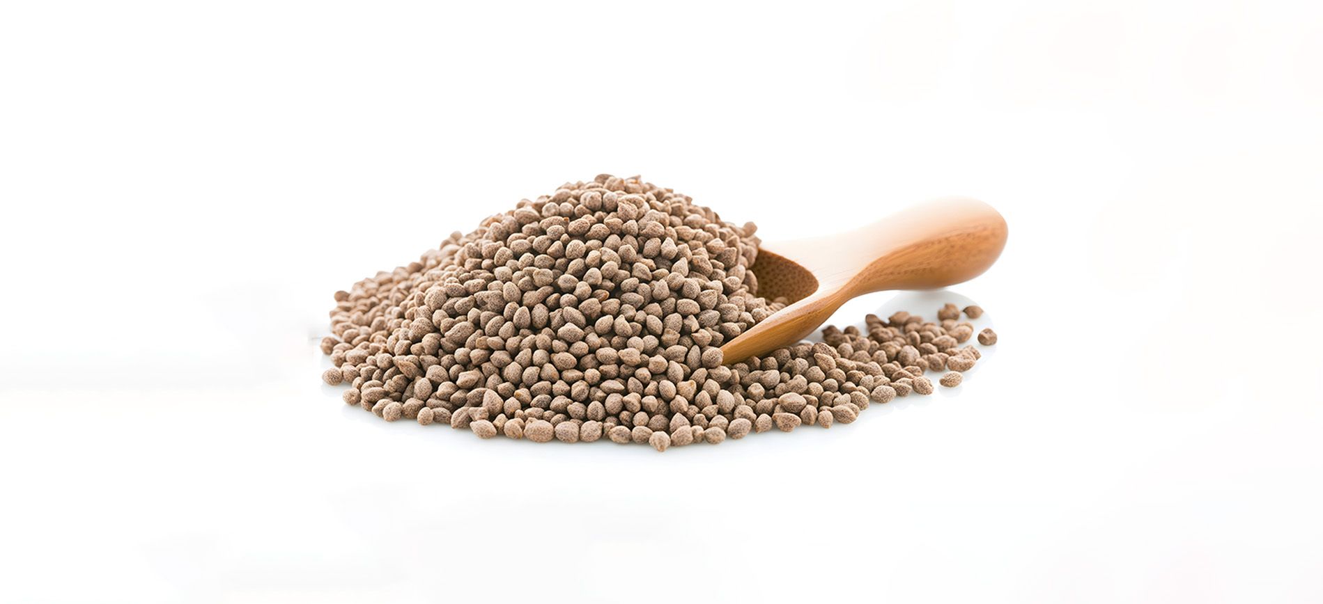 सिलिकॉन उर्वरक (Silicon Fertilizers) category