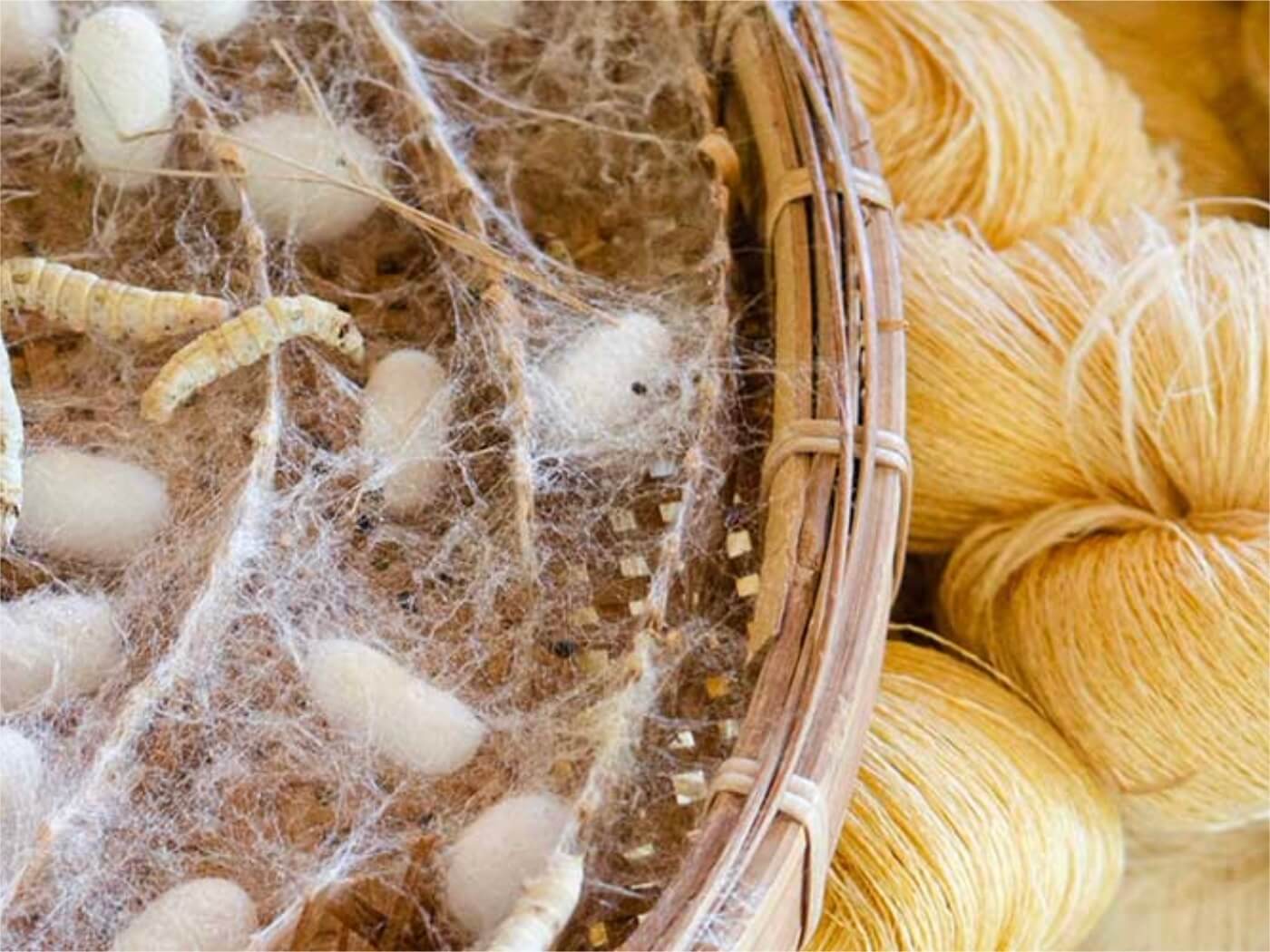 रेशम से बने (Silk Made) category