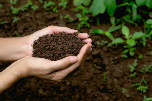 मृदा अनुकूलक(कंडीशनर) (Soil Conditioner) category