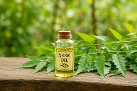 Neem Oil