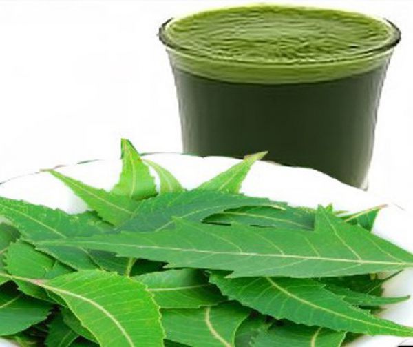 Neem Ark